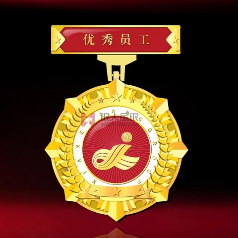 湖南長(zhǎng)沙湘江集團(tuán)優(yōu)秀員工獎(jiǎng)?wù)录o(jì)念章