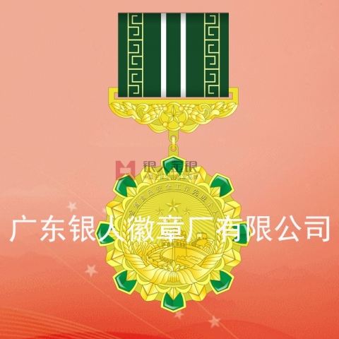 河南省政府食品安全工作先進(jìn)個(gè)人勛章定制