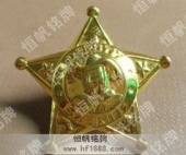 高檔榮譽(yù)胸章,榮譽(yù)勛章,鍍金鋅金獎(jiǎng)?wù)? title=