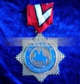 新周刊時(shí)代騎士胸章,藍(lán)色盛典時(shí)代騎士胸章