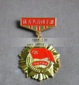 韶關(guān)供電局優(yōu)秀共青團(tuán)干部功勛章,勛功章