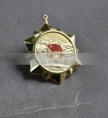 共青團(tuán)五四青年獎(jiǎng)?wù)?五四青年勛章,金質(zhì)勛功章