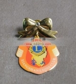 佩戴獎(jiǎng)?wù)?佩戴徽章,佩戴勛章,佩戴徽標(biāo)