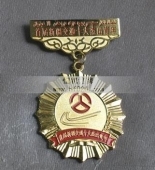 新疆自冶區(qū)十大杰出青年獎章,杰出青年勛章